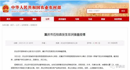 QQ截图20190322095612.jpg