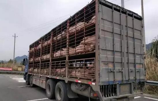 QQ截图20190327095325.jpg