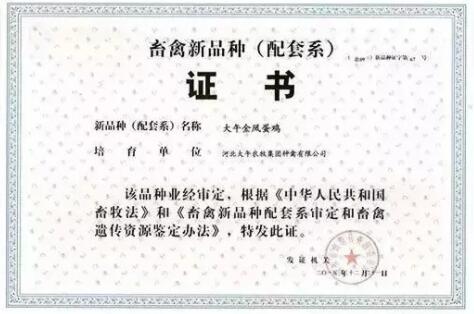 QQ截图20190708100336.jpg