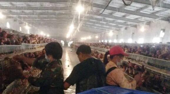 QQ截图20200727091318.jpg