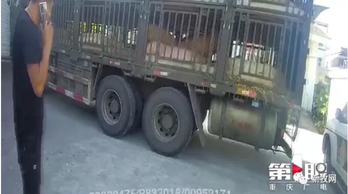QQ截图20201026092721.jpg