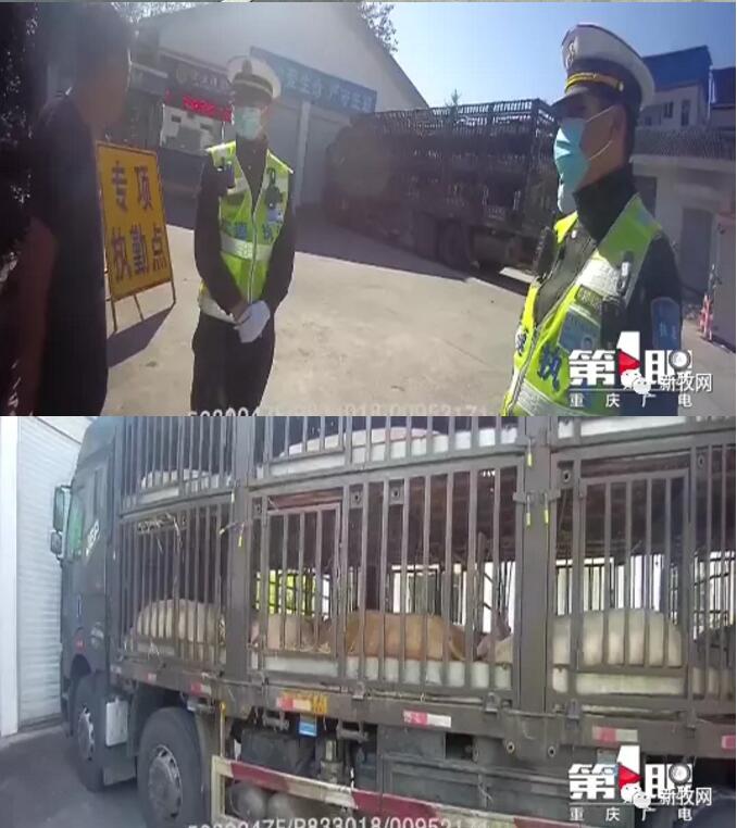 QQ截图20201026093145.jpg