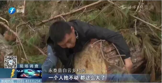 QQ截图20201103145658.jpg