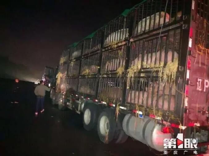 QQ截图20201105133420.jpg