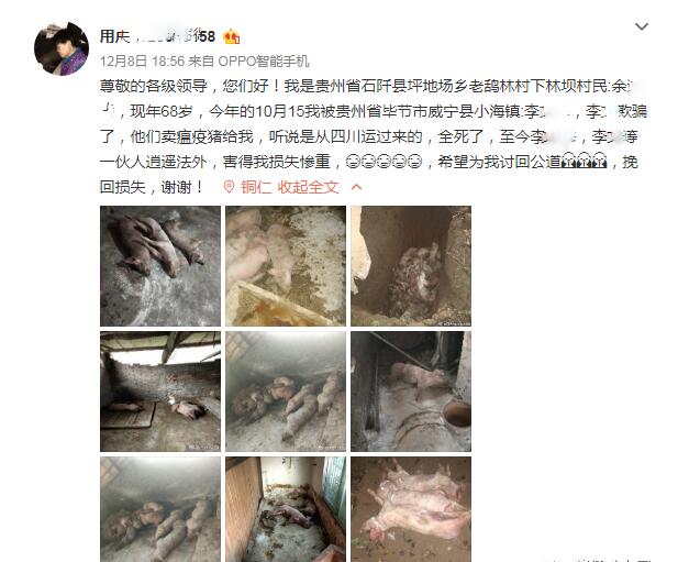 QQ截图20201211104040.jpg