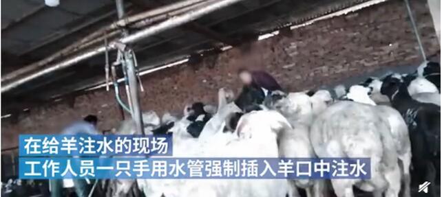 QQ截图20210316141829.jpg