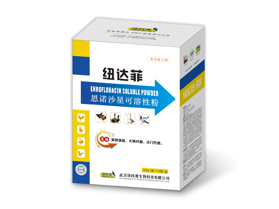 8 纽达菲.jpg