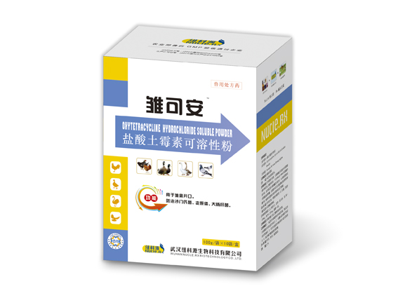 1 雏可安.jpg