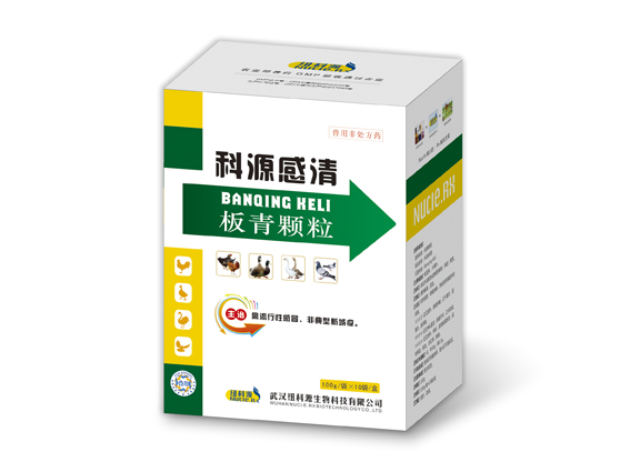 13 科源感清.jpg