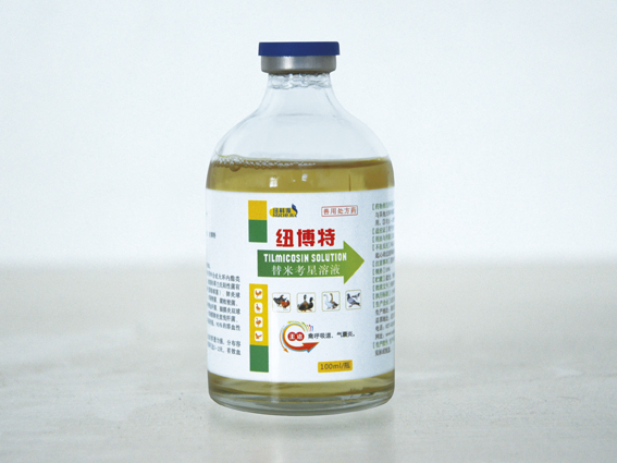 7 纽博特.jpg