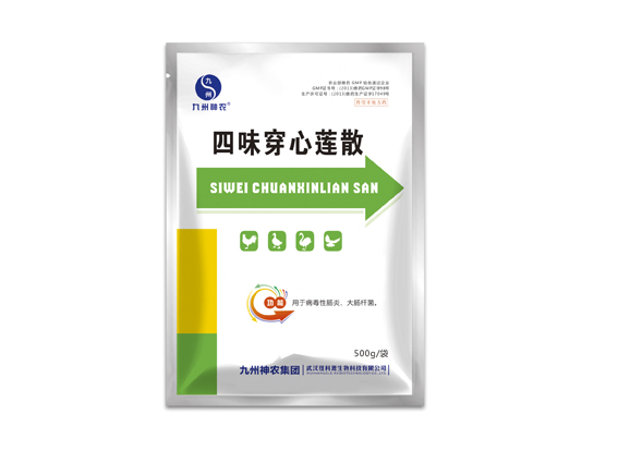 5 四味穿心莲散.jpg