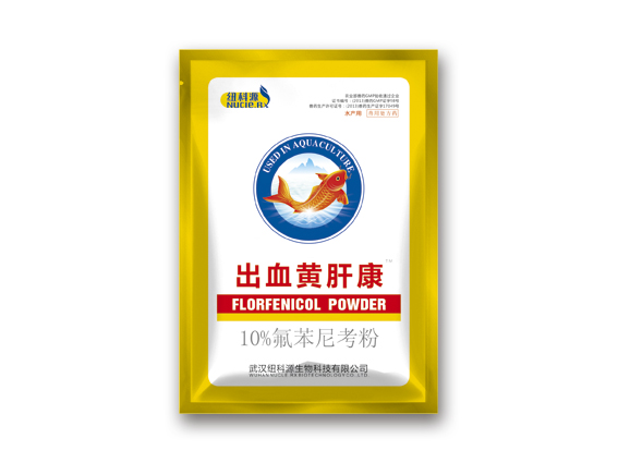 出血黄肝康.jpg