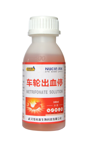 车轮出血停.jpg