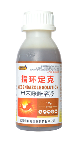 指环定克.jpg