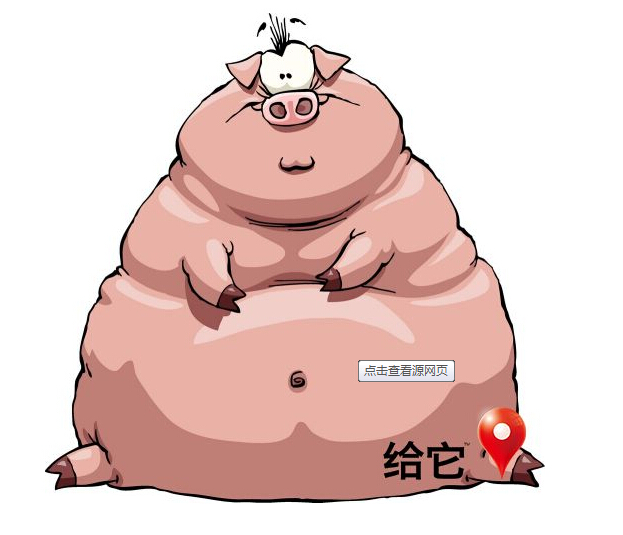 母猪.jpg